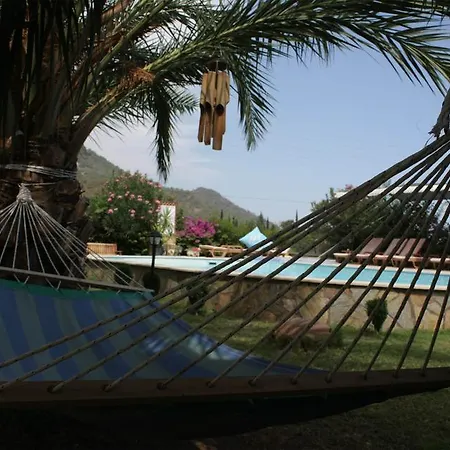 Papirus מלון