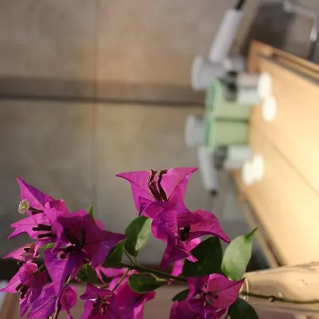 帕浦如斯酒店 2*
