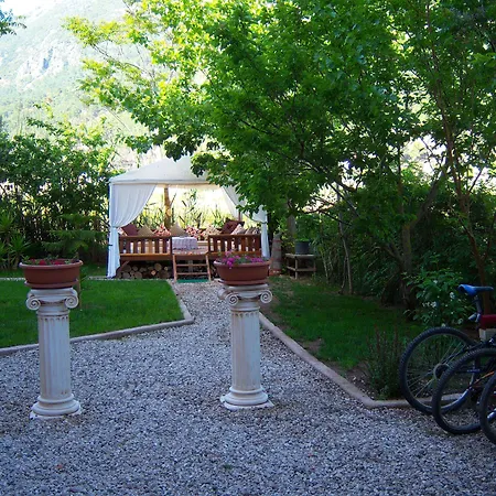 Otel Papirus 3*